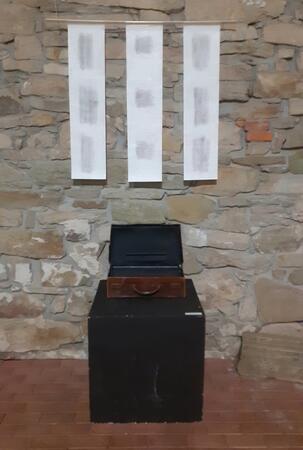 Siutcase with Dolina Video