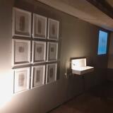 Exhibition shot, 'Dolina'