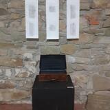 Siutcase with Dolina Video