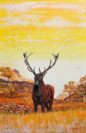 Stag