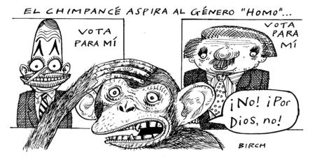 El chimpance (The chimpanzee)