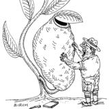 Pitcher Plant (Saga magazine)