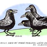 Crows (The Oldie)