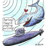 Whales are affected by Sonar