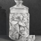 Jar of Shells