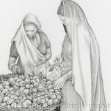 Aubergines in Mumbai