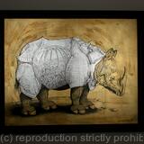 Durer's Rhino