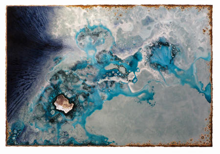 blue oyster alliance