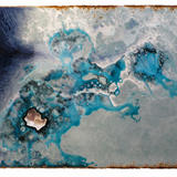 blue oyster alliance