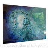 Subterranian Connection (angle view)