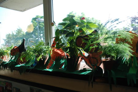 Rain Forest display at Drayton Park Primary
