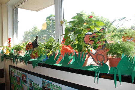 rain forest display at Drayton park Primary school
