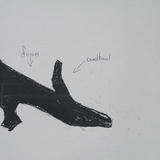 victorian shoe design by 10 year old child 