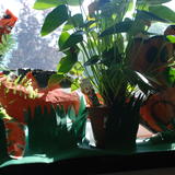 rain forest display at Drayton Park Primary school