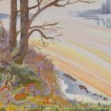 River Severn: THROUGH THE TREES