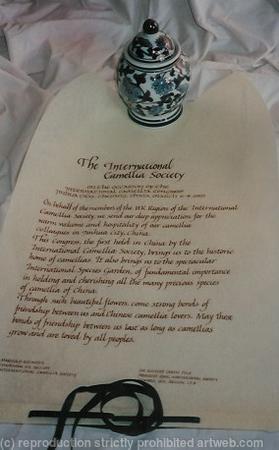 Open Scroll  for Camilia society