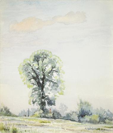 1973 The Elm Tree, Hanwell