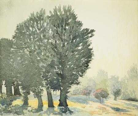 1975 Churchfields park, Hanwell Against Sun