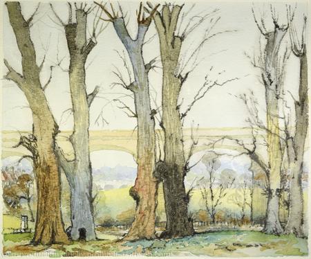 1970's Hanwell Viaduct with Elm Trees