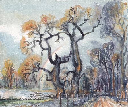 1973 Osterley Park -Rainbow