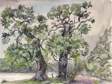 1968 Lake at Osterley, Middx