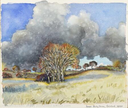265. Shropshire. Kenley Common. Raincloud -31.12.93