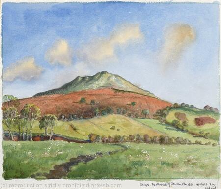 270. Shrops. The Other Side of Titterstone Clee Hill. 3pm Cold wind -14.11.1993