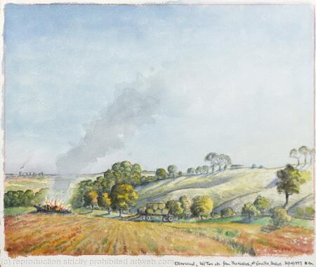 275. Essex Wood, W-Ton from The Hollies Nr. Enville, Shrops . 11am. -21.10.1993