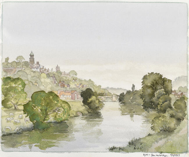 100. BN From new bridge. 5.6.1993