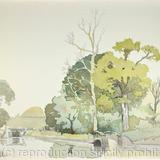 1970's Old Canal Bridge