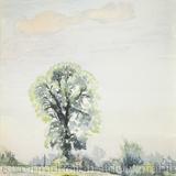 1973 The Elm Tree, Hanwell