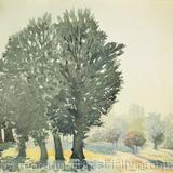 1975 Churchfields park, Hanwell Against Sun