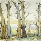 1970's Hanwell Viaduct with Elm Trees