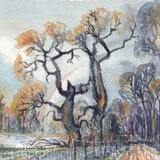 1973 Osterley Park -Rainbow