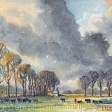 1973 Osterley -Evening Sun