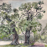 1968 Lake at Osterley, Middx