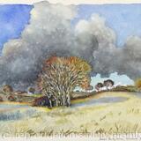 265. Shropshire. Kenley Common. Raincloud -31.12.93
