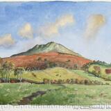 270. Shrops. The Other Side of Titterstone Clee Hill. 3pm Cold wind -14.11.1993