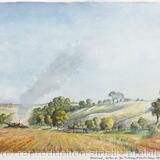 275. Essex Wood, W-Ton from The Hollies Nr. Enville, Shrops . 11am. -21.10.1993