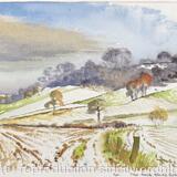282. Shrops. Morville. Acton Hill. First snow. 25.11.1993