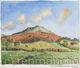 270 Shrops. The Other Side of Titterstone Clee Hill. 3pm Cold wind -14.11.1993
