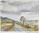 284 Tittestone Clee Hill. The Road to Ludlow. Warm damp. -2.12.1993