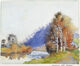 158. Silver Birches, very humid, 21.1.91