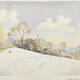 239. BN from South, warm sun -11.2.87