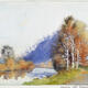 158. Silver Birches, very humid, 21.1.91