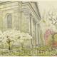 47. St Marys Church Gardens -1988