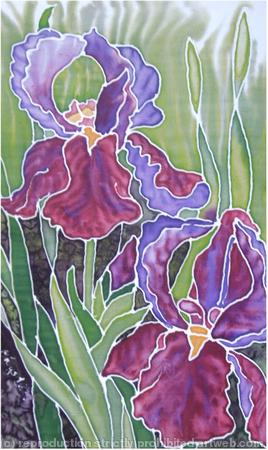 IRIS ON SILK