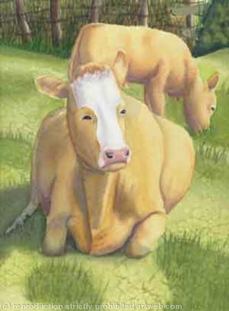 COW AND CALF