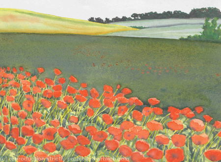 POPPY FIELD
