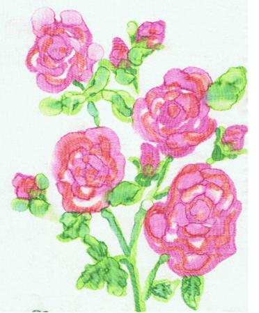 PINK ROSES
